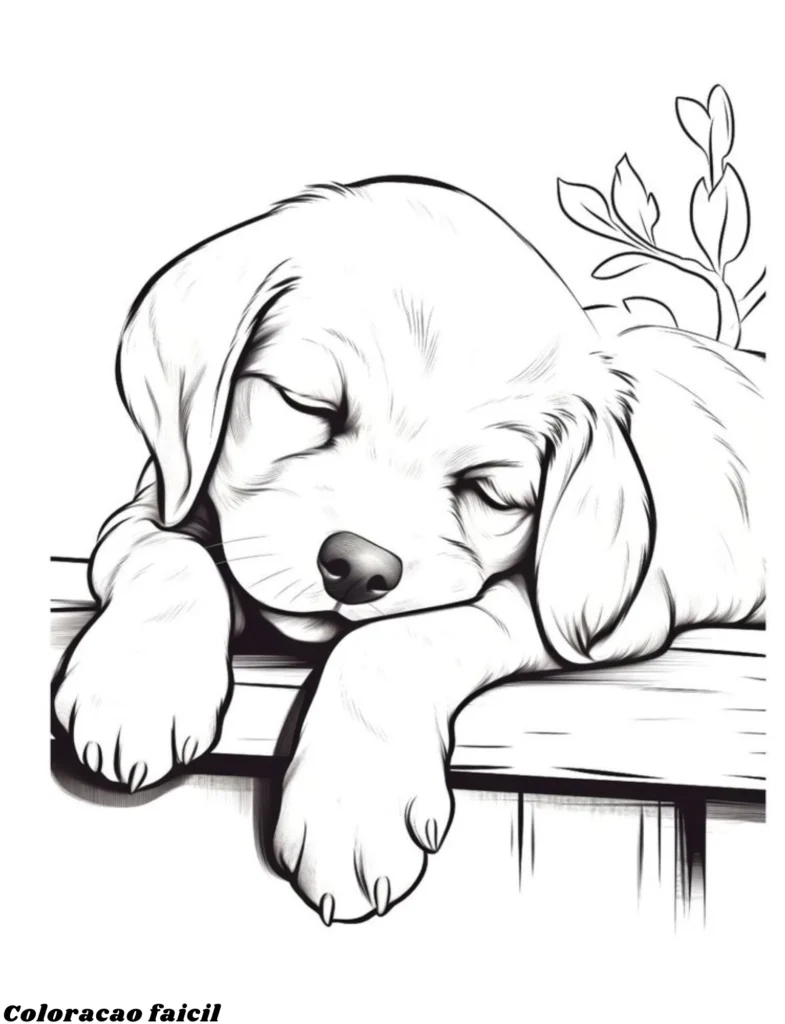 cão desenho para colorir