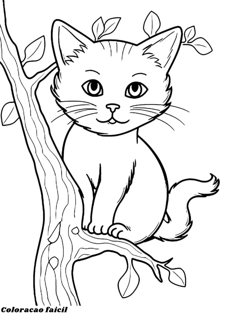 desenho gato colorir